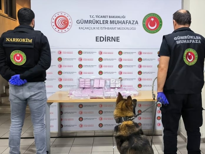 Gümrük sahasında 171 kilogram skunk ele geçirildi