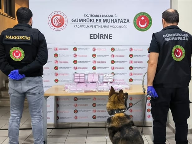 Gümrük sahasında 171 kilogram skunk ele geçirildi