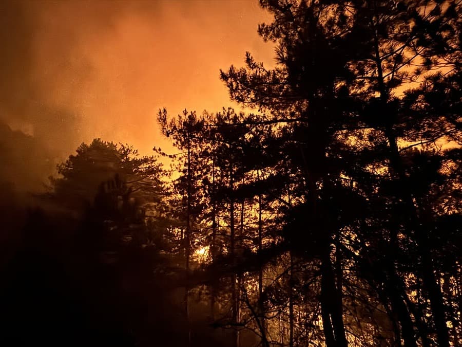 Sakarya yangınına müdahale ediliyor