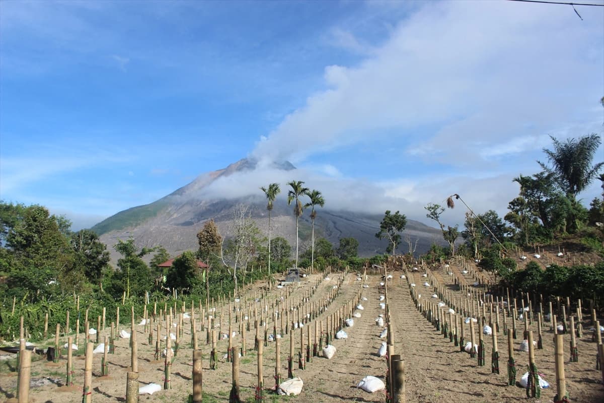 Sinabung Yanardağı'nın patlama anı kameralara yansıdı