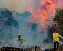 Kudüs'te büyük çaplı orman yangını çıktı