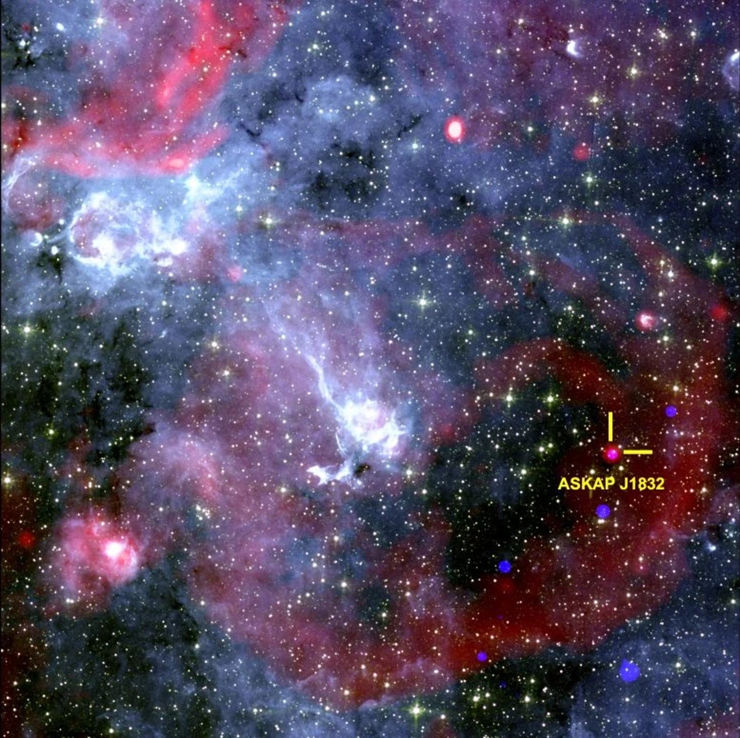 ASKAP J1832-0911 çevresindeki bölgeyi gösteren gökyüzü görüntüsü. NASA'nın Chandra X-ışın Gözlemevi'nden alınan X-ışınları, Güney Afrika'daki MeerKAT radyo teleskobundan alınan radyo verileri ve NASA'nın Spitzer Uzay Teleskobu'ndan alınan kızılötesi veriler. 