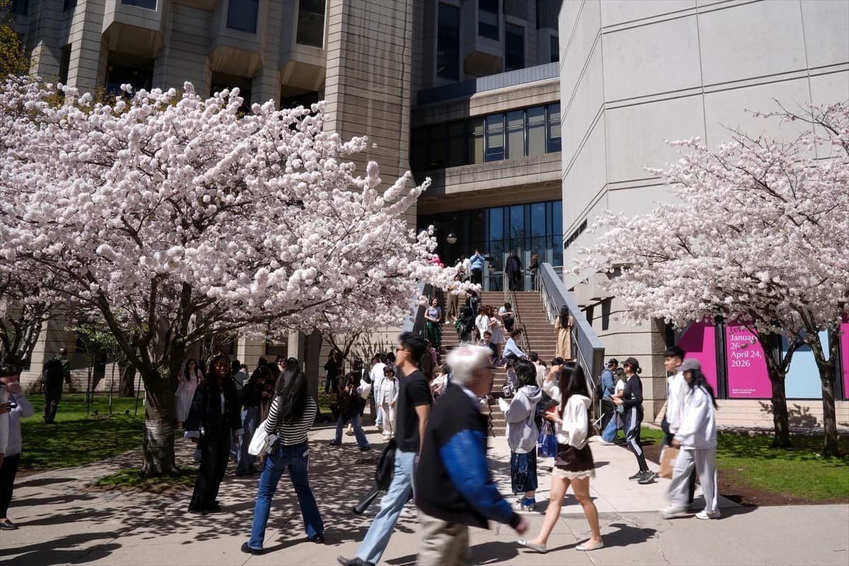 Toronto'da Japon esintisi | Dört bir yanı sardılar...