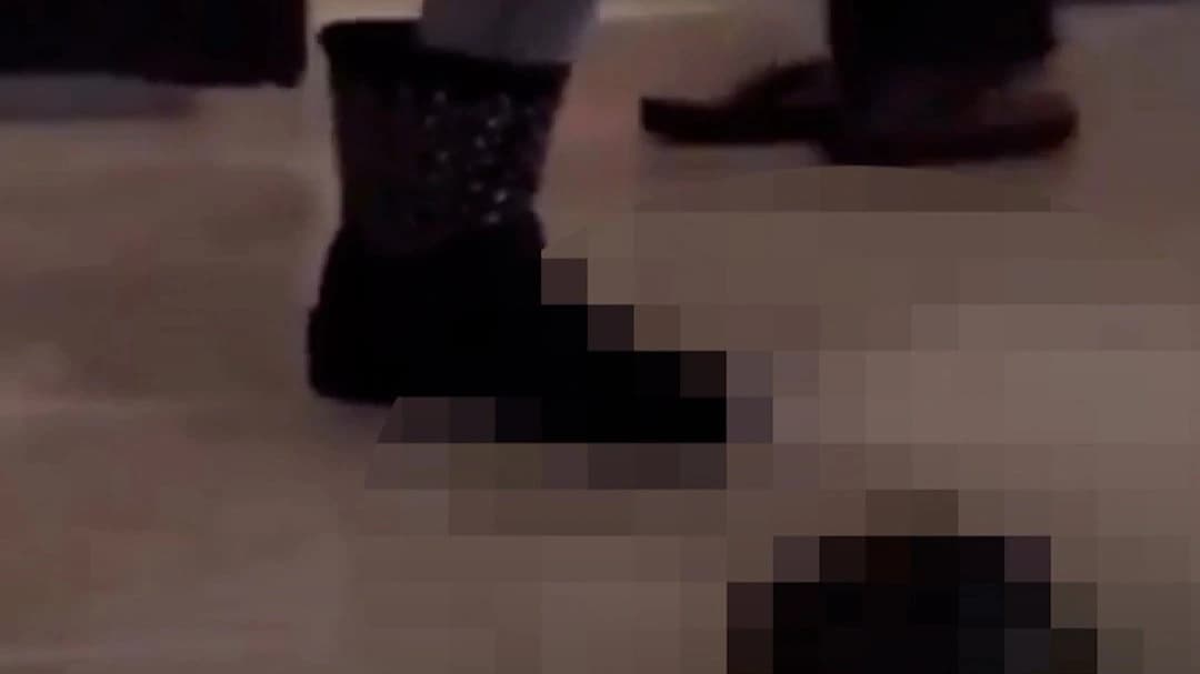 Kaplumbağayı ezdi, 15 yıl sonra gözaltına alındı