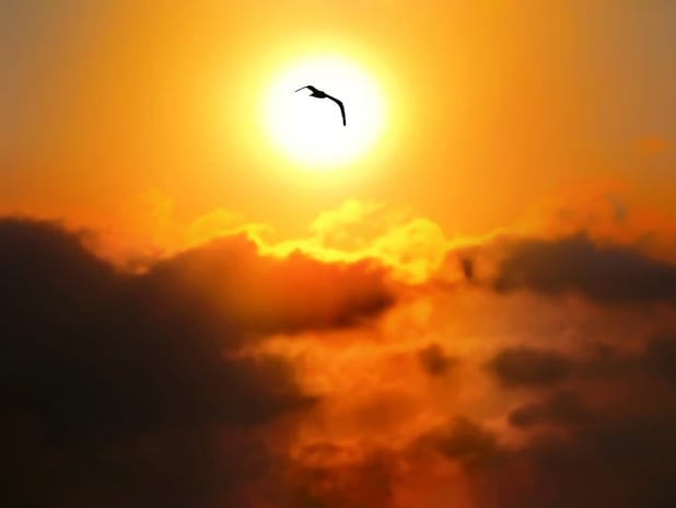 İngiltere, küresel ısınmayla mücadele için güneş ışığını engelleyecek