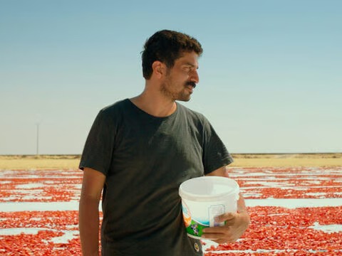 Türkiye'nin Oscar aday adayı belli oldu