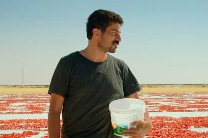 Türkiye'nin Oscar aday adayı belli oldu