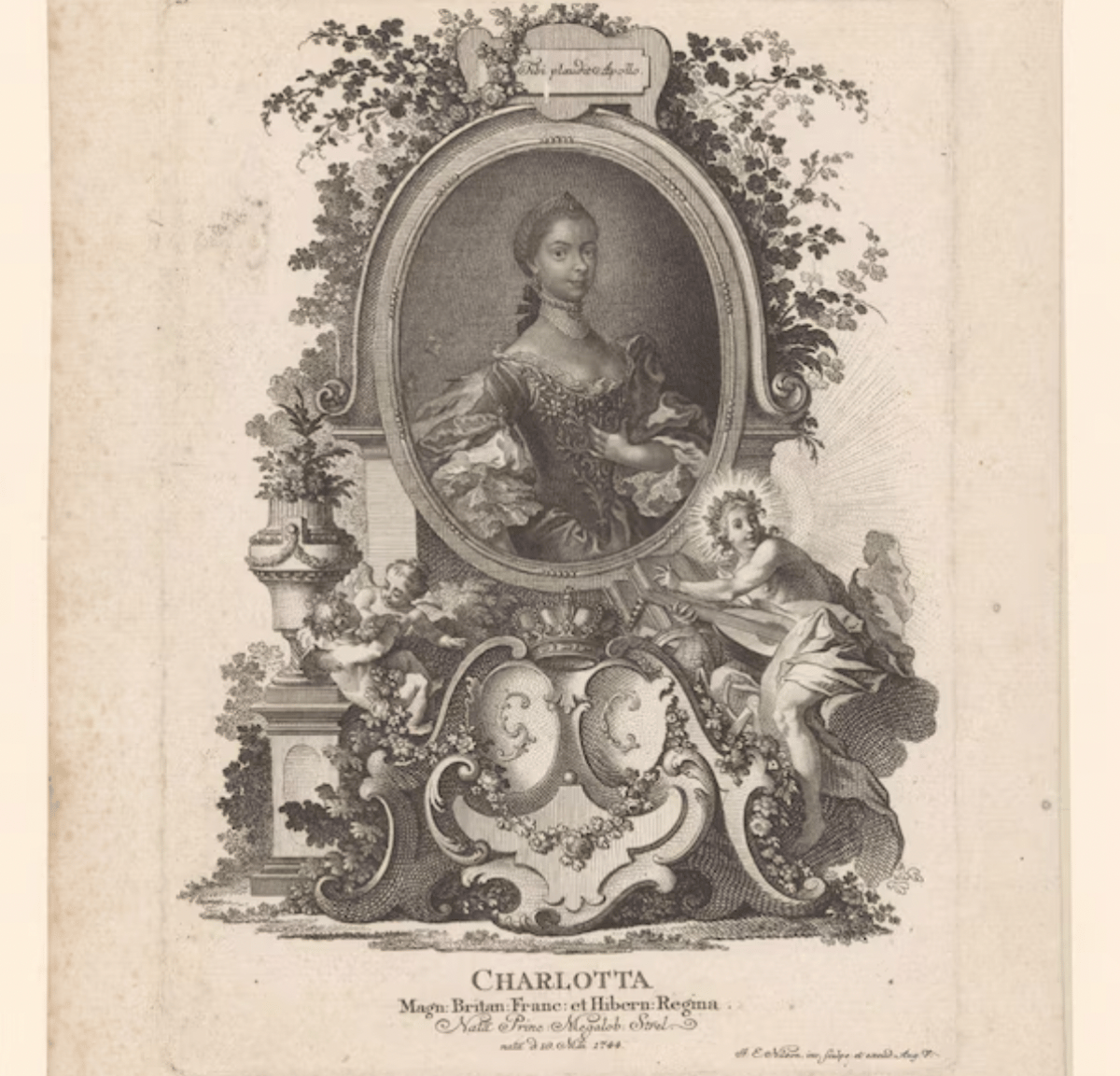 Görsel Kaynak: Johann Esaias Nilson'ın BTEU/RKMLGE / Alamy Stock Photo aracılığıyla