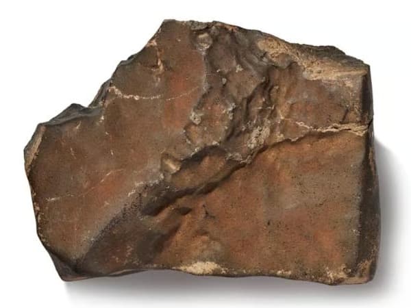 Mars meteoru rekor fiyata satıldı
