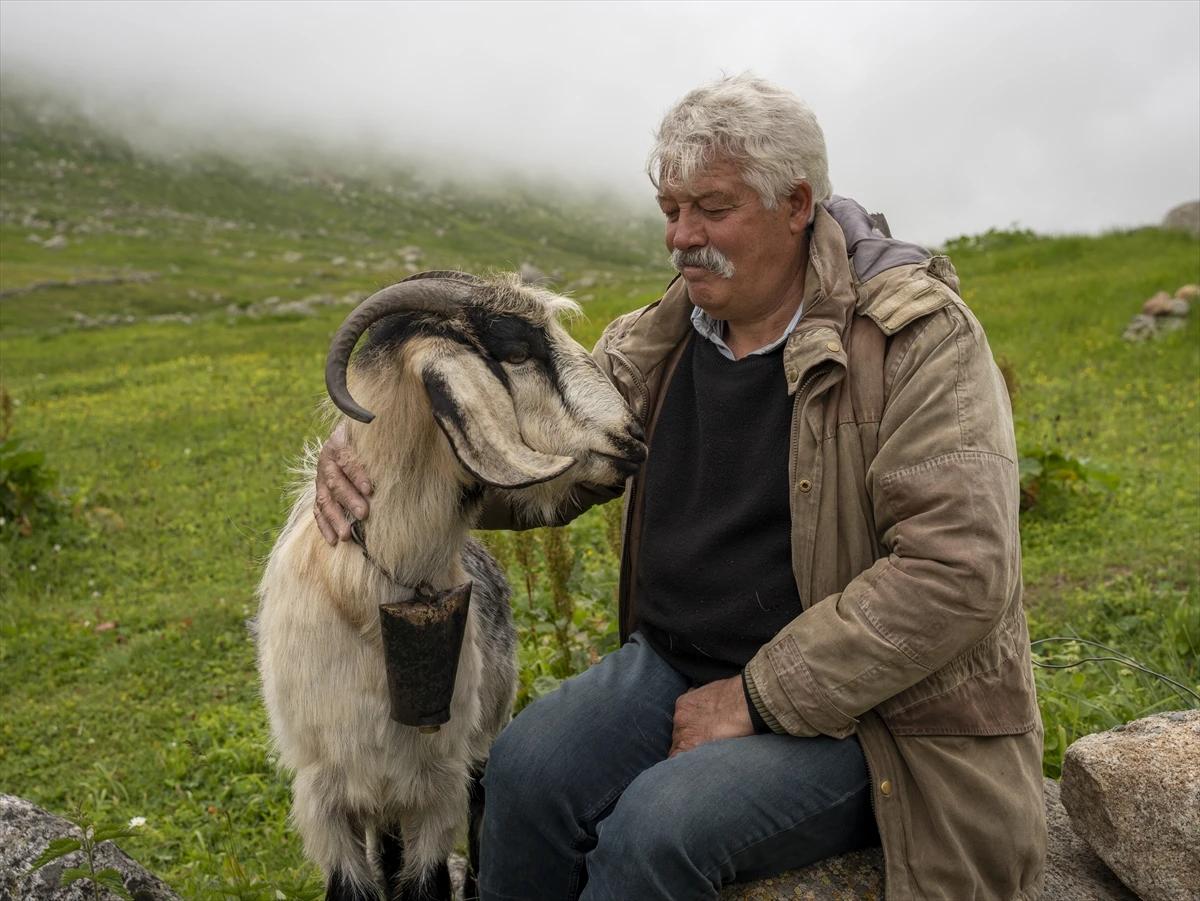 Denizden binlerce metre yükseklikte yaşam