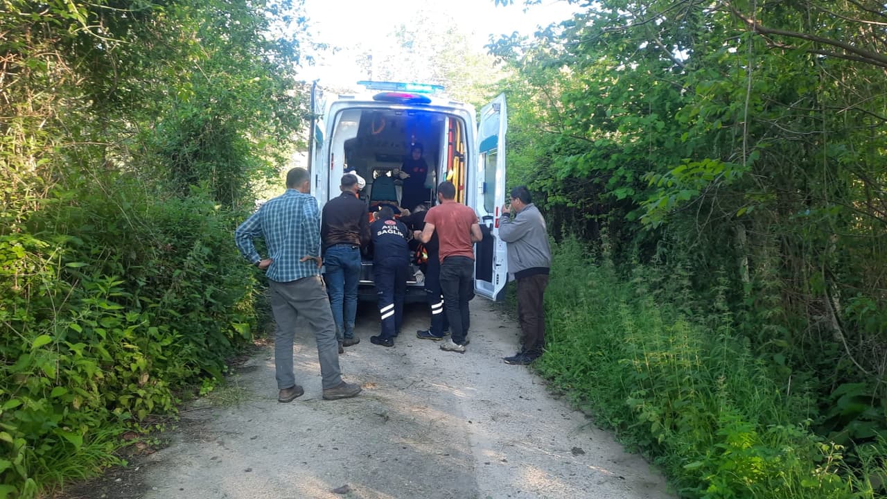 Kastamonu'da bal arısı sokan kadın hastanelik oldu! Alerji uyarısı