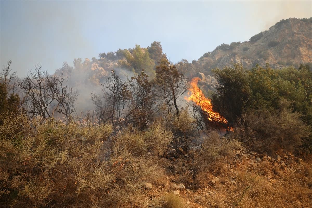 Kaş'ta orman yangını 2. gününde: Sarp arazide havadan ve karadan zorlu mücadele