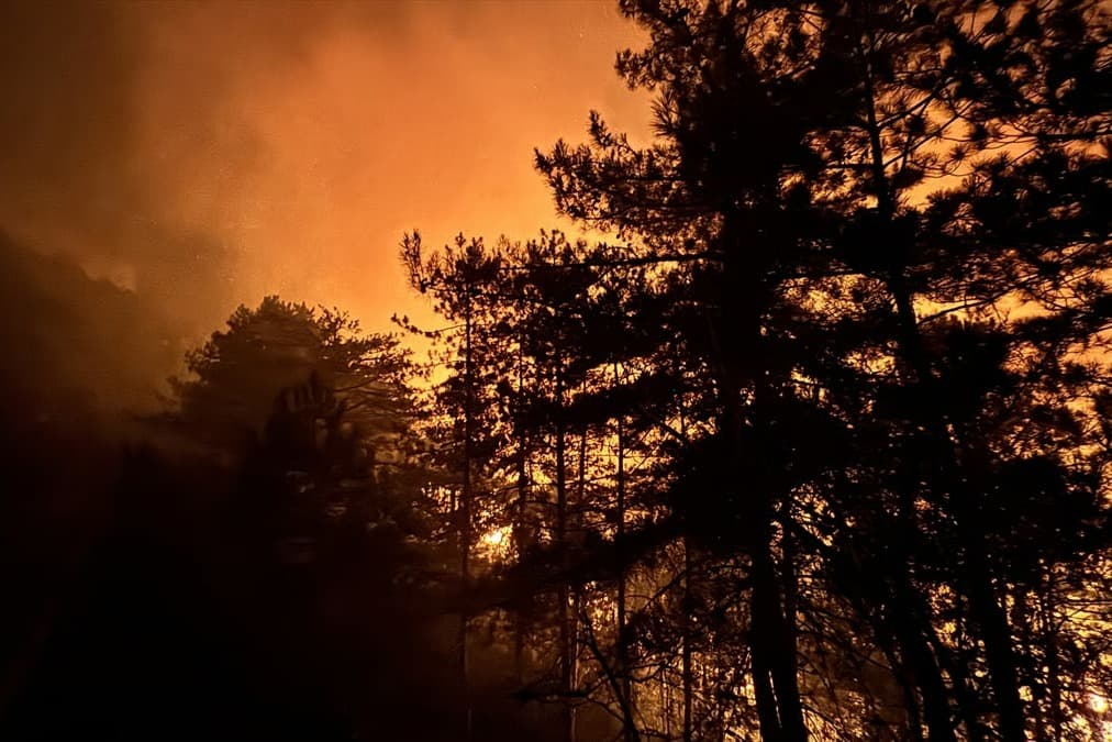 Sakarya yangınına müdahale ediliyor