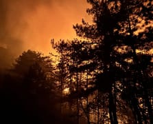 Sakarya'da ormanlık alanda çıkan yangına müdahale devam ediyor