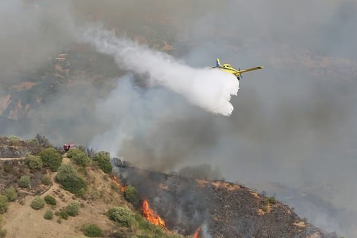 Cezayir'in orman yangınlarıyla mücadelesi devam ediyor