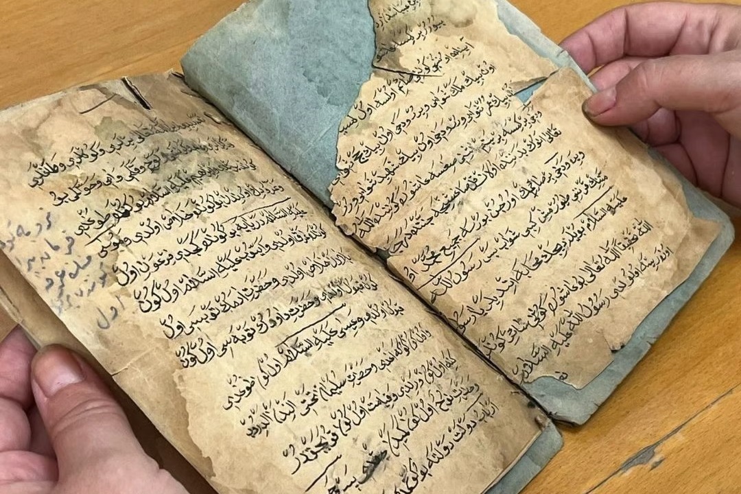600 yıllık miras Ege'de koruma altında