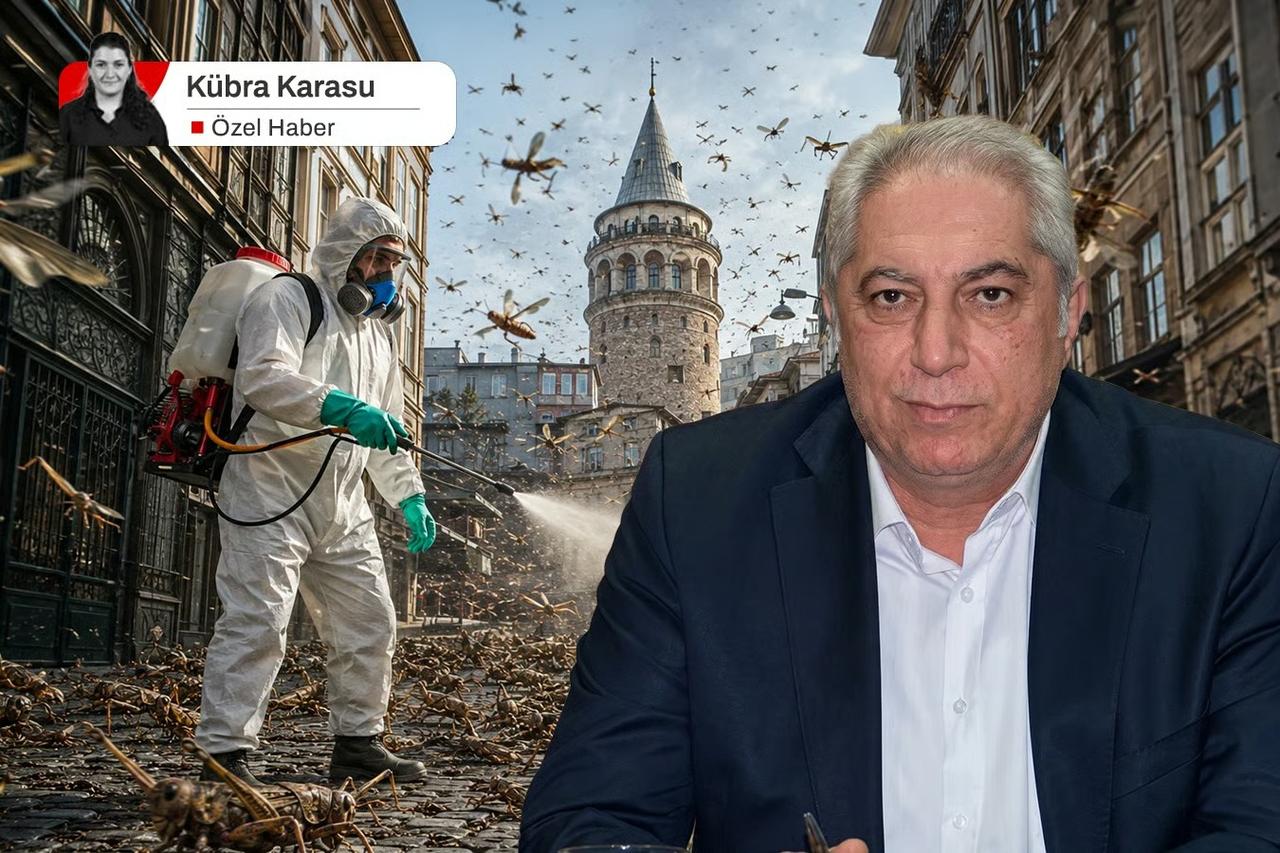 Türkiye'yi saran dev çekirgelerde 'ilaçlama' tehlikesi