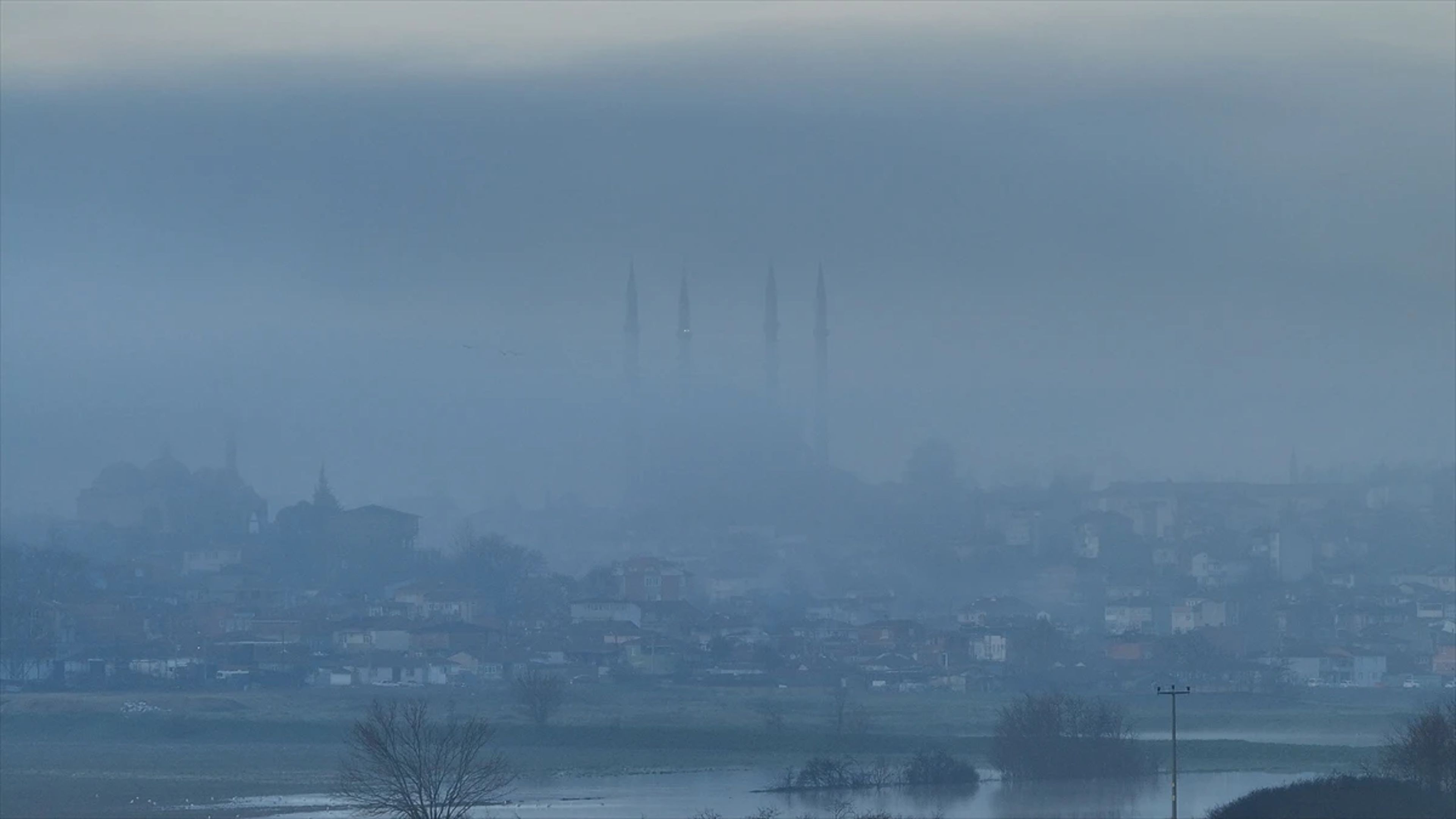 Galeri Fotoğrafı