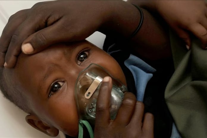 Nijerya'da Lassa ateşi ve menenjit alarmı: 5 ayda 366 ölü