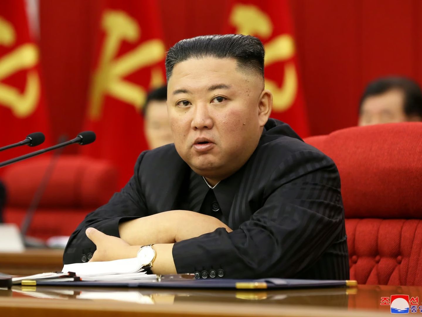 Kuzey Kore lideri Kim Jong-un'un annesinin kökeni tartışma konusu oldu