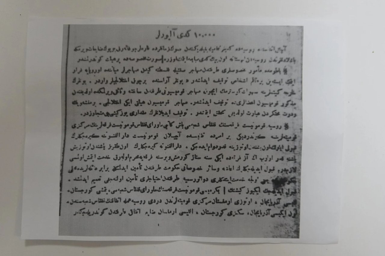 100 yıl önce Erzurum'da yaşanan ilginç kedi hikayesi