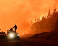 Patagonya'da orman yangını: 12 bin hektar alan kül oldu