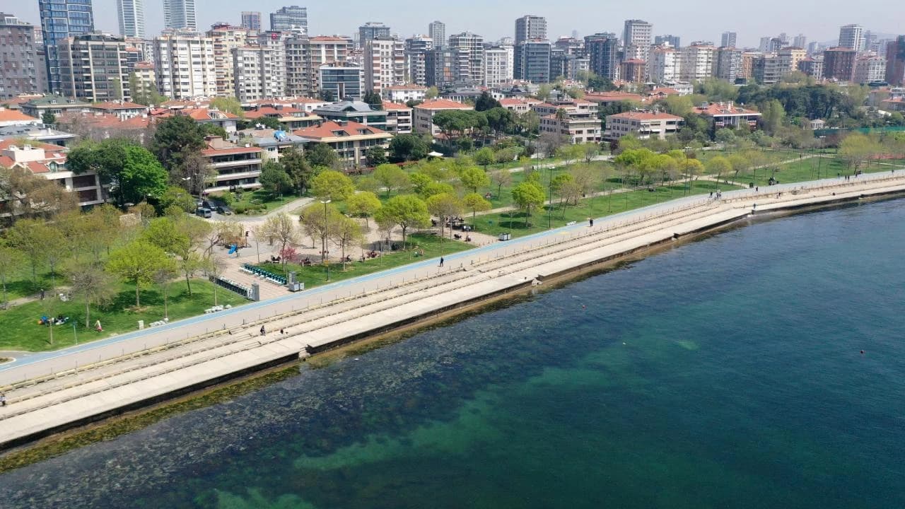 Marmara Denizi kolera salmonella riski son durum