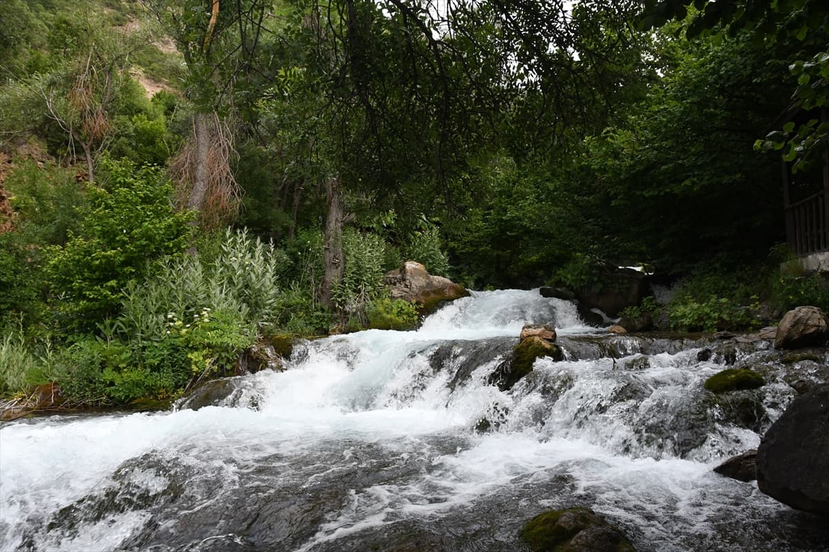 Doğu Karadeniz'in gizli cenneti "Tomara Şelalesi" 200 bin ziyaretçi bekliyor