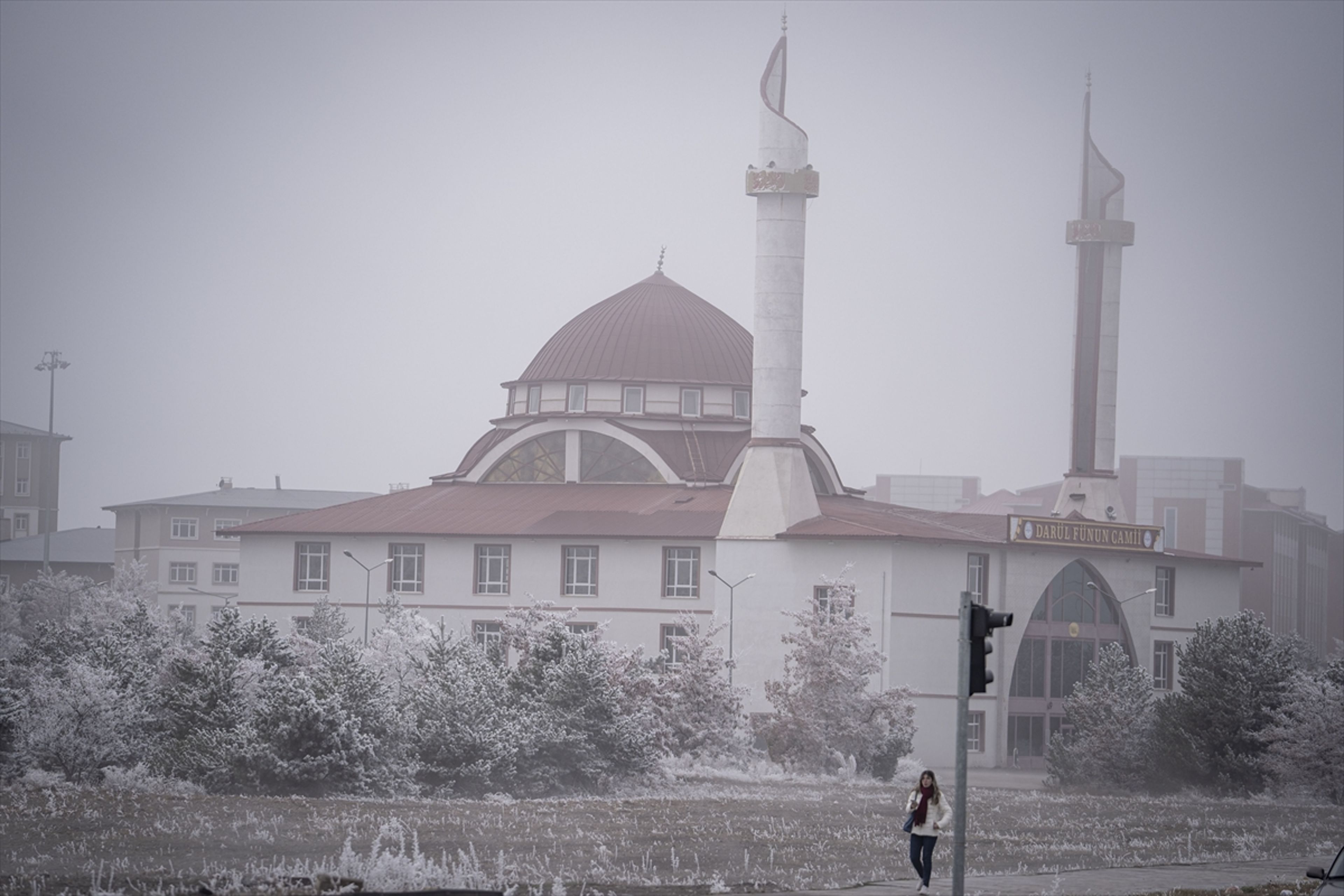 Galeri Fotoğrafı
