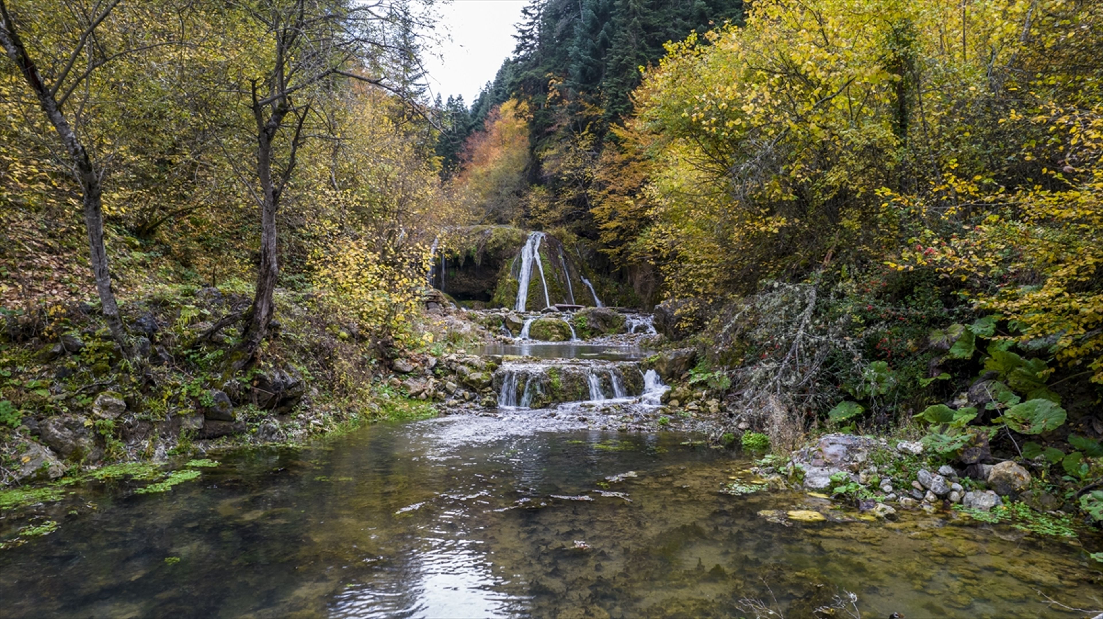Galeri Fotoğrafı