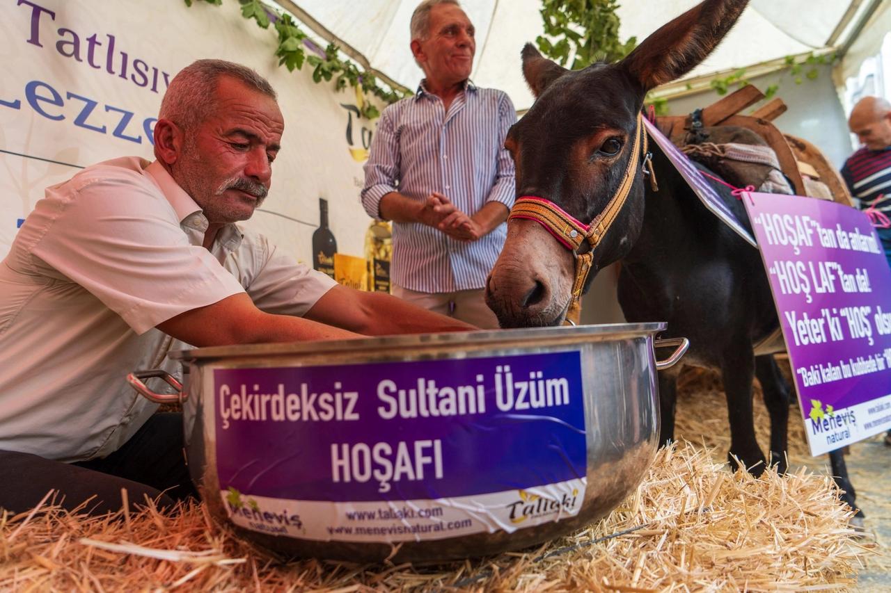 Eşeğe hoşaf içirmeye çalıştılar