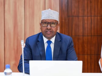 Somalia Cracks Down On Al-Shabaab’s Financial Networks