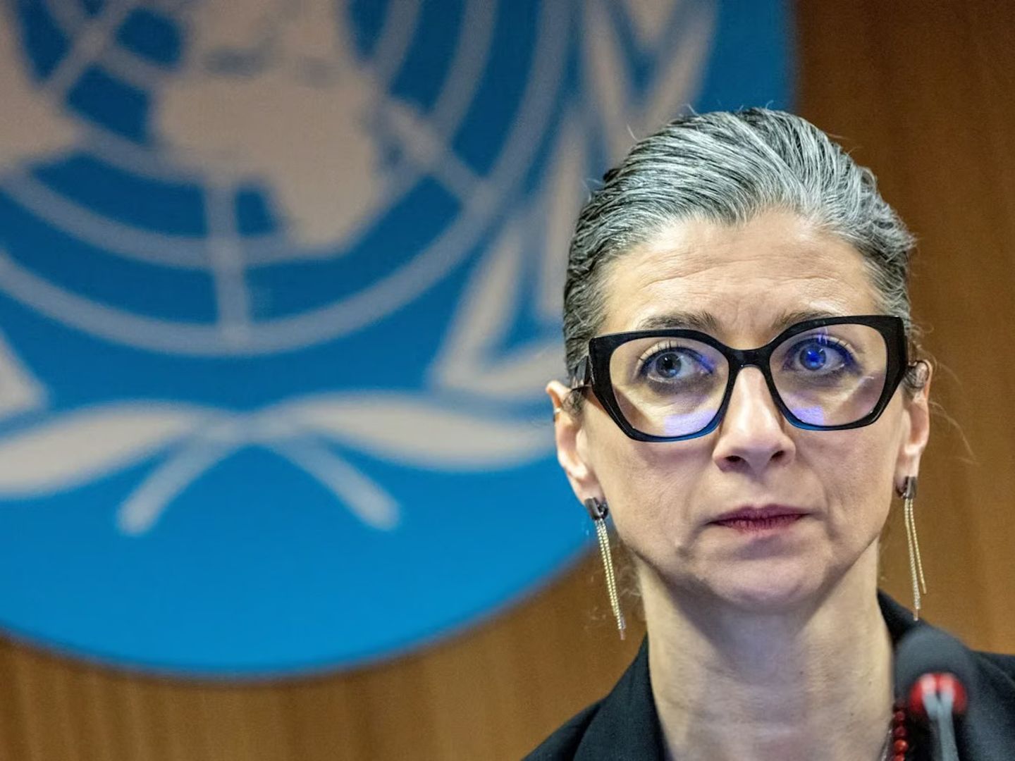 AP üyesi Nemec’ten Francesca Albanese’ye Nobel çağrısı