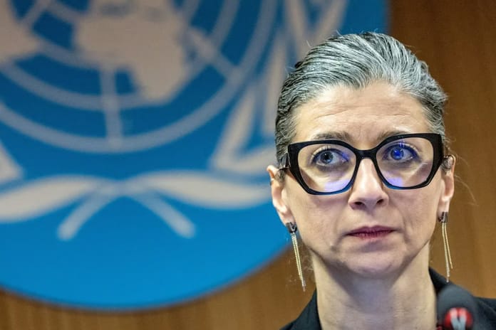 AP üyesi Nemec’ten Francesca Albanese’ye Nobel çağrısı