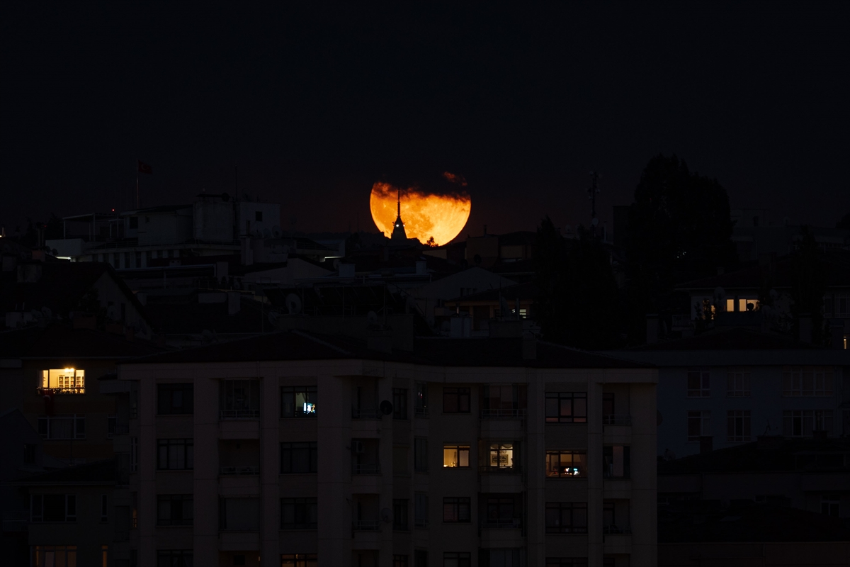 Galeri Fotoğrafı