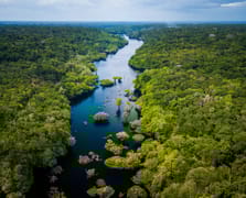 Almanya'dan Brezilya'nın yağmur ormanı fonuna 1 Milyar Euro finansman taahhüdü