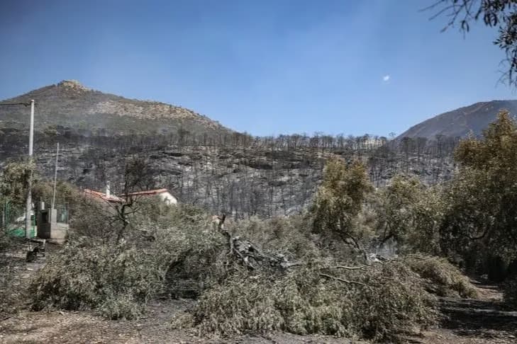 Yunanistan alevlere teslim oldu: 118 bina kullanılamaz