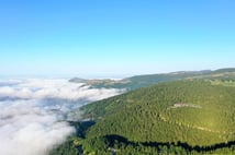 Daha uzun yaşamak isteyenler Karadeniz'e mi göçüyor?