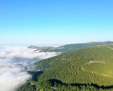 Daha uzun yaşamak isteyenler Karadeniz'e mi göçüyor?