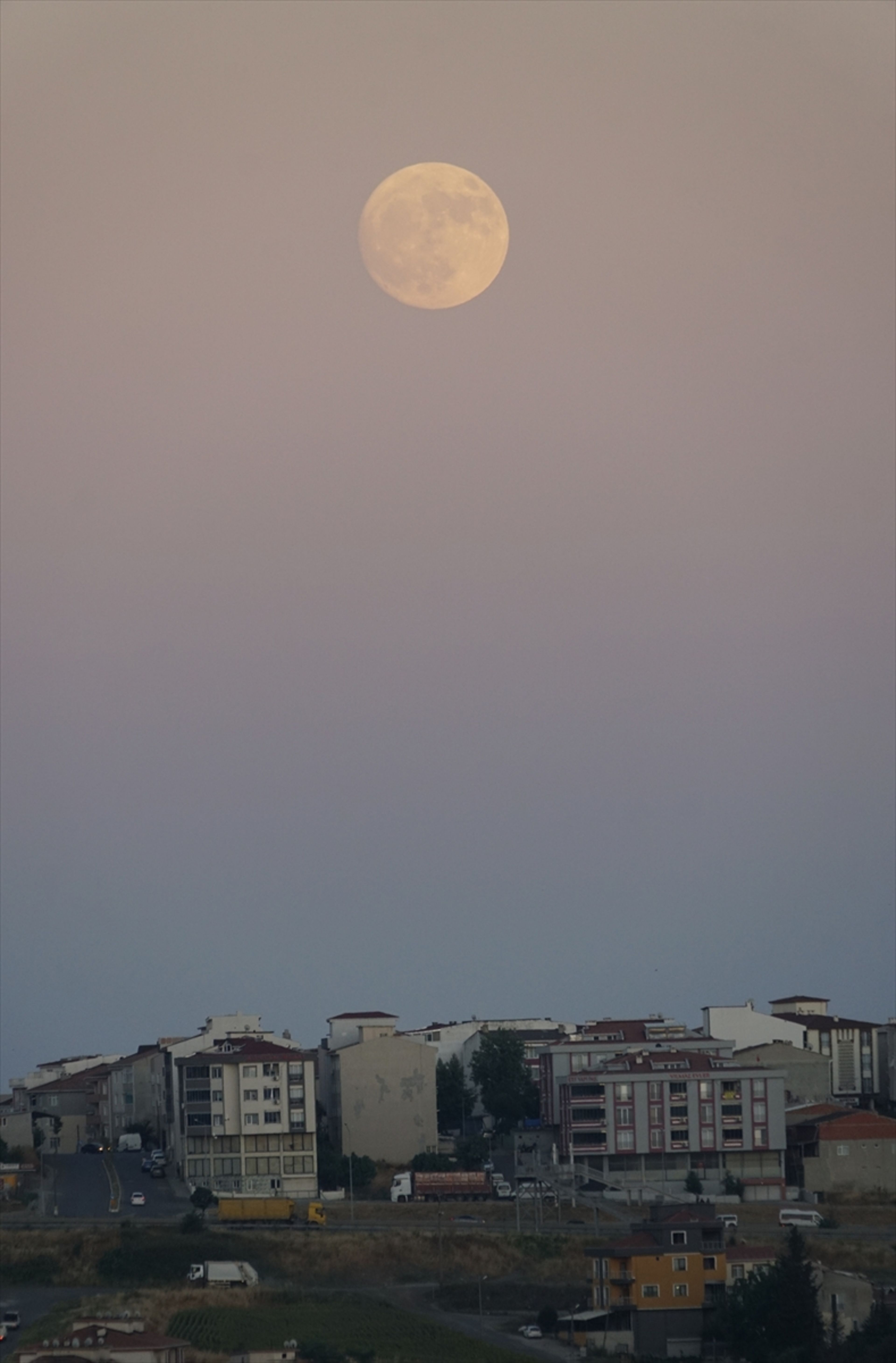 Galeri Fotoğrafı