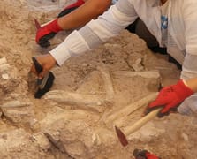 Keçi çobanının keşfettiği 7,7 milyon yıllık fosil 