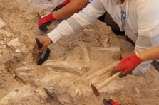 Keçi çobanının keşfettiği 7,7 milyon yıllık fosil 