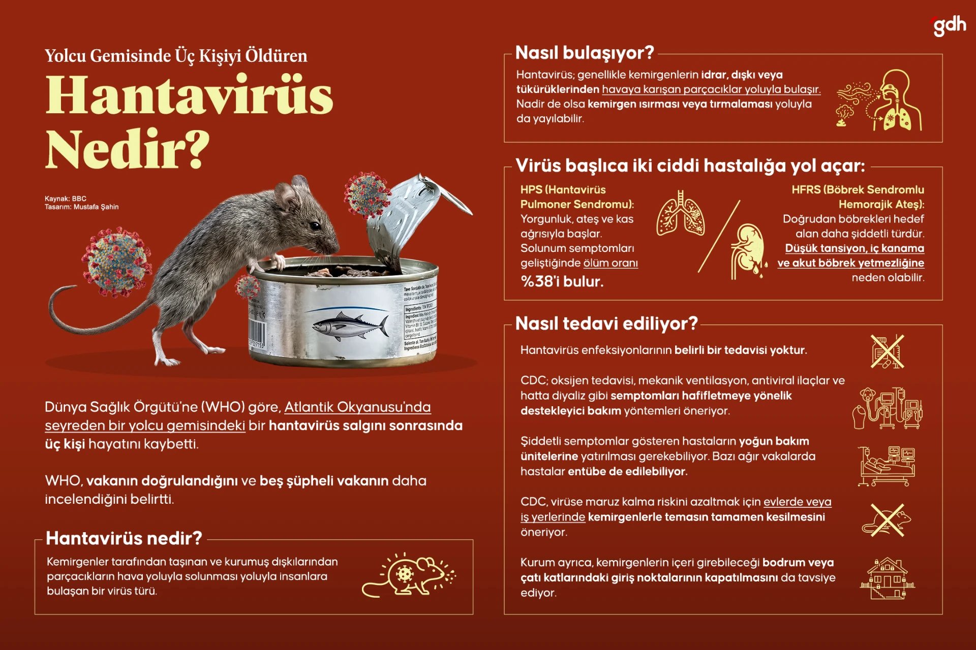 Yolcu gemisinde üç kişiyi öldüren hantavirüs nedir? 