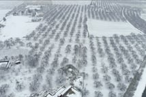 Malatya’da kayısı bahçeleri kışın gelişiyle beyaza büründü