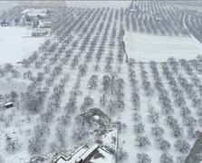 Malatya’da kayısı bahçeleri kışın gelişiyle beyaza büründü