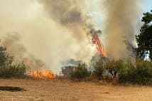 Orman yangınına havadan ve karadan müdahale ediliyor