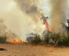 Orman yangınına havadan ve karadan müdahale ediliyor