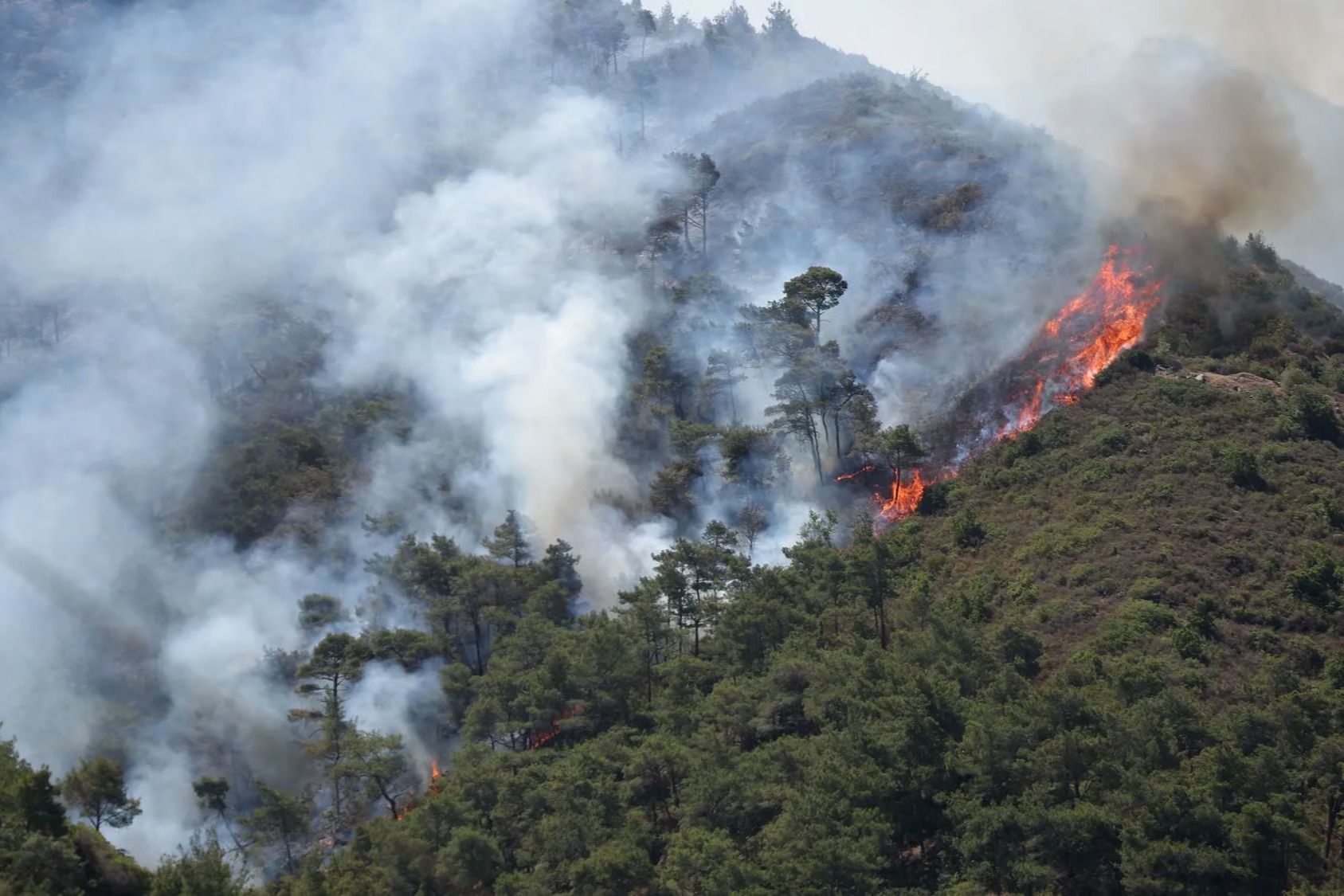 Wildfires Ravage Northern Latakia as Syria, Jordan, Turkey 