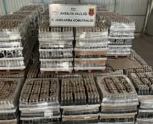 Antalya'da sahte alkol operasyonu