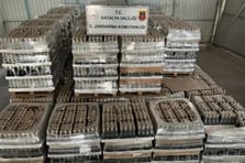 Antalya'da sahte alkol operasyonu